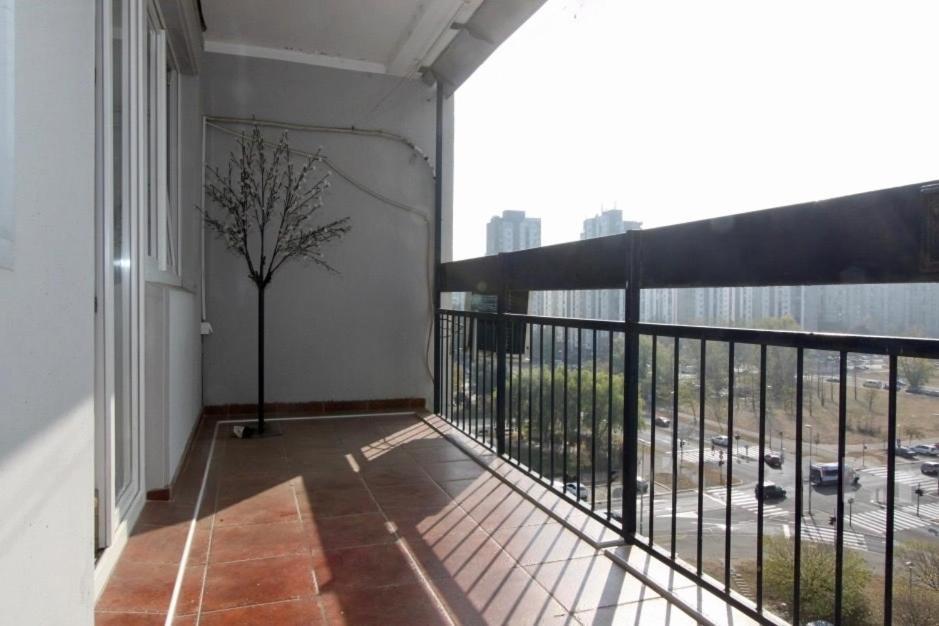 Cezar Apartment Belgrade Exterior photo